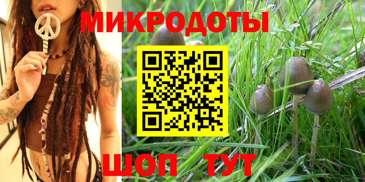 Галлюциногенные грибы MAGIC MUSHROOMS  Вход с VPN  где можно купить   Азов 